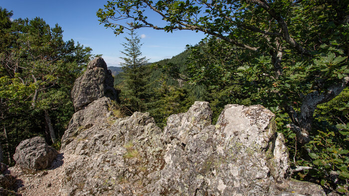 Felsspitze am Klettersteig Karlsruher Grat | © Sunhikes