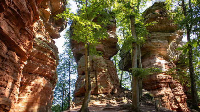 Felstürme der Altschlossfelsen | © Sunhikes