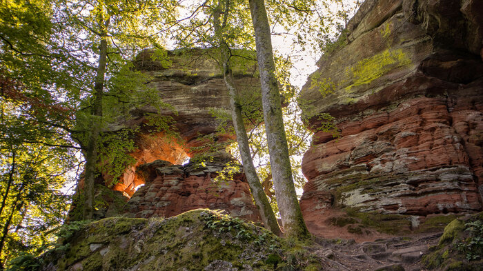 Aufstieg Altschlossfelsen | © Sunhikes