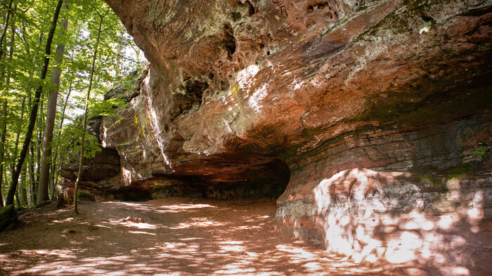Flechten an Buntsandstein der Altschlossfelsen | © Sunhikes