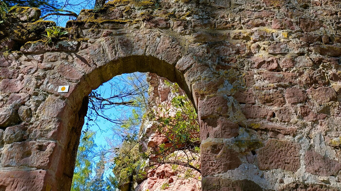 Wanderweg durch die Anlage Burg Wineck | © Sunhikes