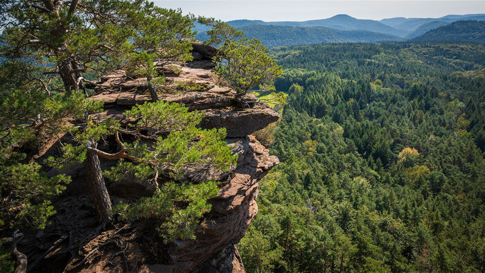 Heidenpfeiler bei Bruchweiler-Bärenbach | © Sunhikes Heidenpfeiler bei Bruchweiler-Bärenbach | © Sunhikes
