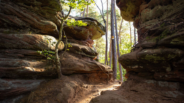 die Rosskegelfelsen im Dahner Felsenland | © Sunhikes