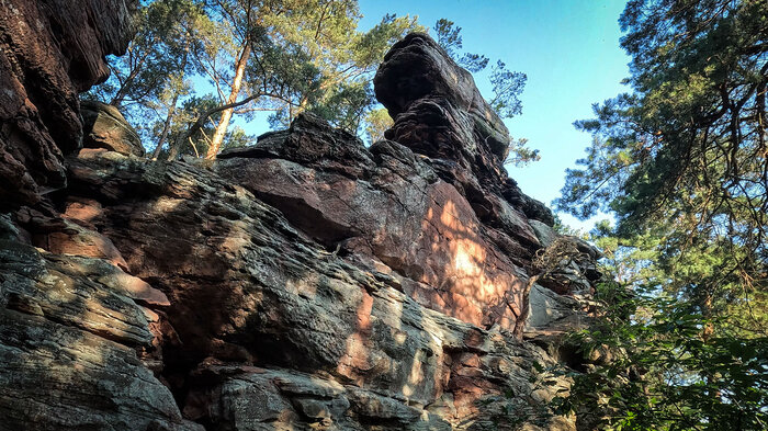 Dimbergfelsen im Pfälzerwald | © Sunhikes