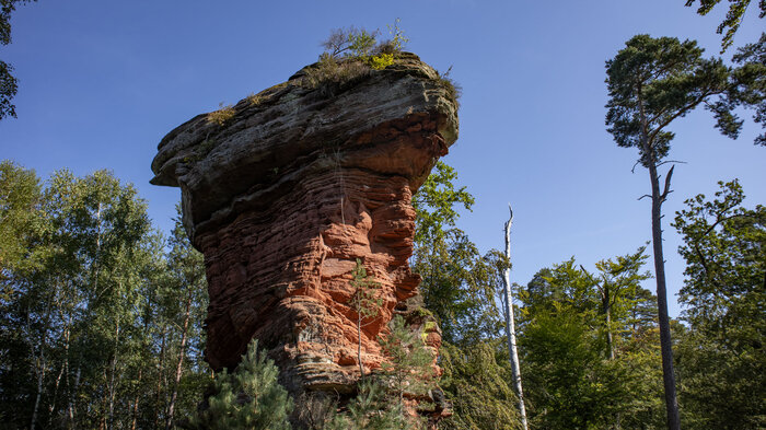 der Eppenbrunner Teufelstisch in der Pfalz | © Sunhikes der Eppenbrunner Teufelstisch | © Sunhikes