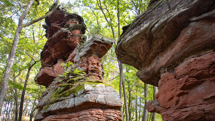 der Lochfelsen bei Ludwigswinkel | © Sunhikes der Lochfelsen bei Ludwigswinkel im Wasgau | © Sunhikes