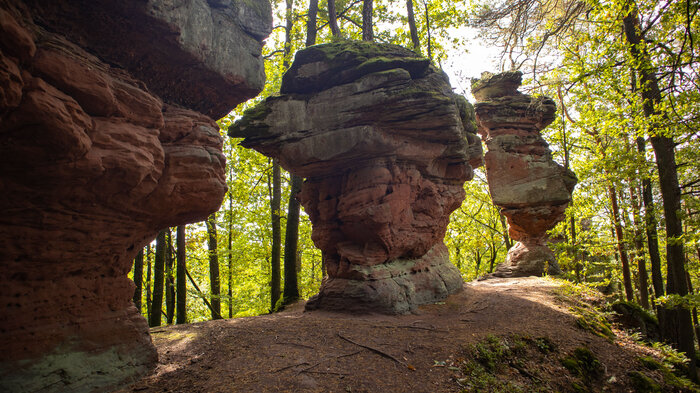 die Rumbergtürme bei Ludwigswinkel | © Sunhikes die Rumbergtürme bei Ludwigswinkel | © Sunhikes
