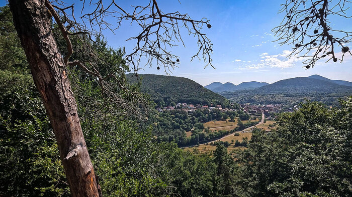 Blick zur Trifelsgruppe von Wanderungen bei von Völkersweiler in der Pfalz | © Sunhikes