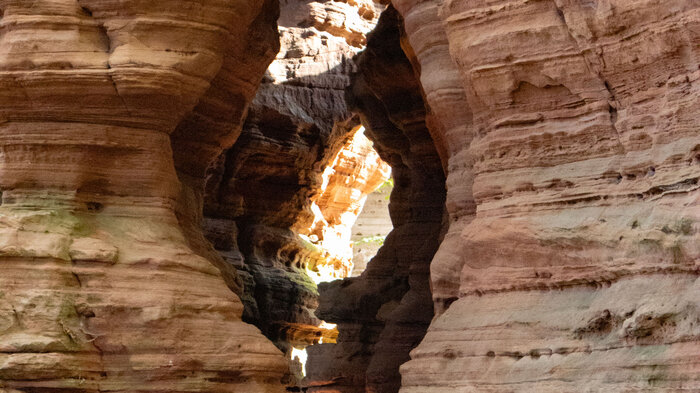 Naturdenkmal Altschlossfelsen im Pfälzerwald | © Sunhikes