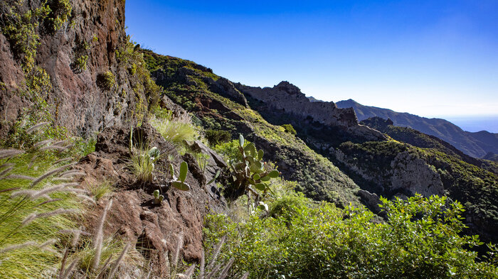 Wandern im Anaga vom Pico del Ingles am Canal de Chabuco | © sunhikes Wandern vom Pico del Ingles am Canal de Chabuco | © sunhikes