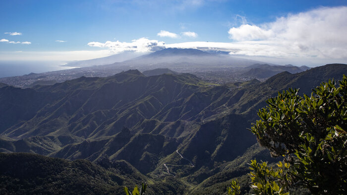 Blick vom Pico del Inglés Richtung Teide Nationalpark | © Sunhikes