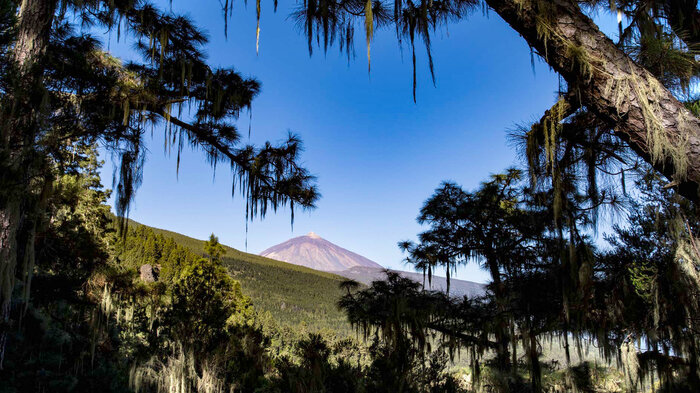 Ausblick auf den Teide am Organos-Höhenwanderweg | © Sunhikes Blick auf den Teide am Organos-Höhenwanderweg | © Sunhikes