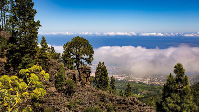 traumhafte Ausblicke über das Orotava-Tal zur Küste | © Sunhikes Ausblicke über das Orotava-Tal zur Küste | © Sunhikes