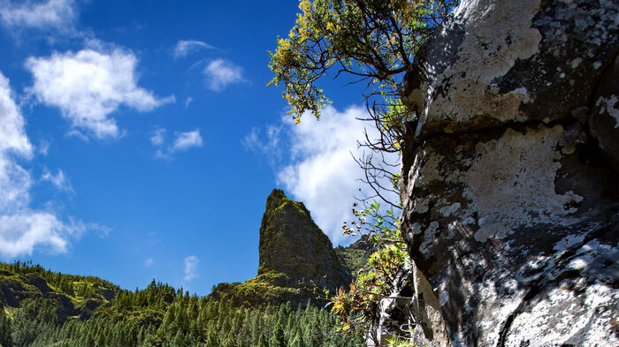 spektakuläre ausblick an dem Organos-Höhenwanderweg auf Teneriffa | © Sunhikes spektakuläre ausblick an dem Organos-Höhenwanderweg | © Sunhikes