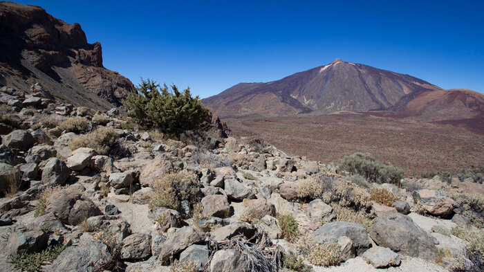 Wanderung vom Barranco La Puente bis zum Parador del Teide auf Teneriffa | © Sunhikes Wanderung vom Barranco La Puente bis zum Parador del Teide | © Sunhikes