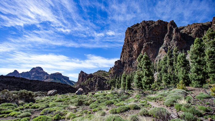 Rundwanderung um den Montaña el Cedro | © Sunhikes Wanderung um den Montaña el Cedro | © Sunhikes