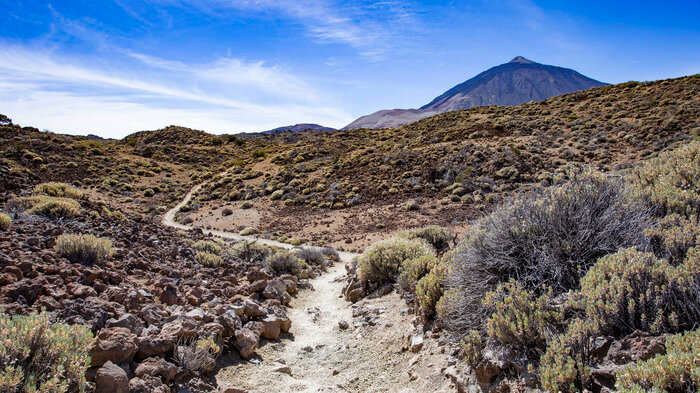 Wanderpfad auf der kleinen Wandertour um El Portillo  | © Sunhikes Weg auf der kleinen Wandertour um El Portillo  | © Sunhikes