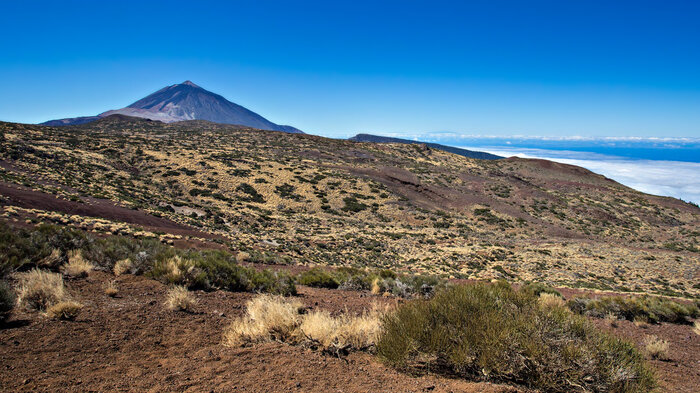 Ausblick auf den überwältigenden Teide von Corral del Niño | © Sunhikes Blick auf den überwältigenden Teide von Corral del Niño | © Sunhikes