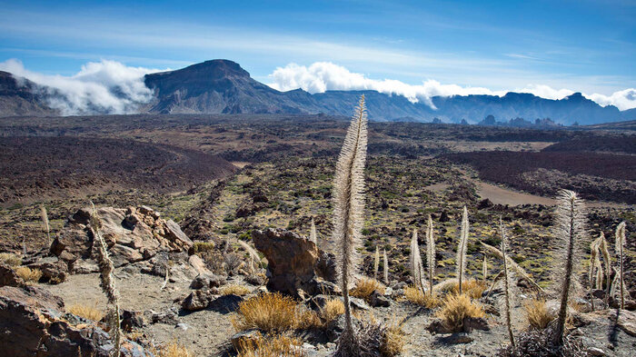 Blick vom Wanderweg auf die Lavaverwerfungen der Caldera und den Guajara | © Sunhikes Blick vom Weg auf die Lavaverwerfungen der Caldera und den Guajara | © Sunhikes