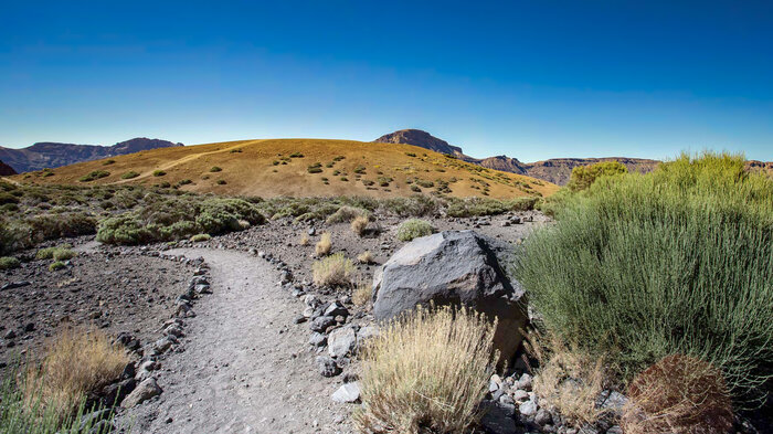 Im Teide Nationalpark führt der Wanderweg 19 Manúja durch die Cañada Blanca | © Sunhikes Wanderweg 19 Manúja führt durch die Cañada Blanca im Teide Nationalpark | © Sunhikes