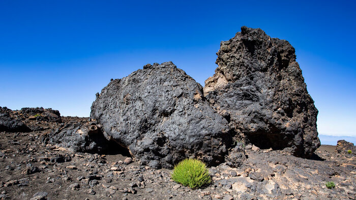 Lavabrocken entlang des Wanderwegs 38 im Teide Nationalpark | © Sunhikes Lavabrocken amWanderweg 38 im Teide Nationalpark | © Sunhikes