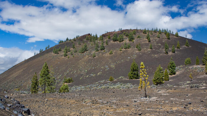 der Vulkankegel des Montaña Sámara vom Ausgangspunkt der Rundwanderung | © Sunhikes der Vulkankegel des Montaña Sámara vom Startpunkt der Rundwanderung | © Sunhikes