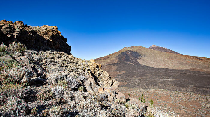 der Blick vom Montaña del Cedro auf den Pico Viejo und die Narices del Teide sowie den Pico del Teide | © Sunhikes Blick vom Montaña del Cedro auf den Pico Viejo und die Narices del Teide sowie den Pico del Teide | © Sunhikes