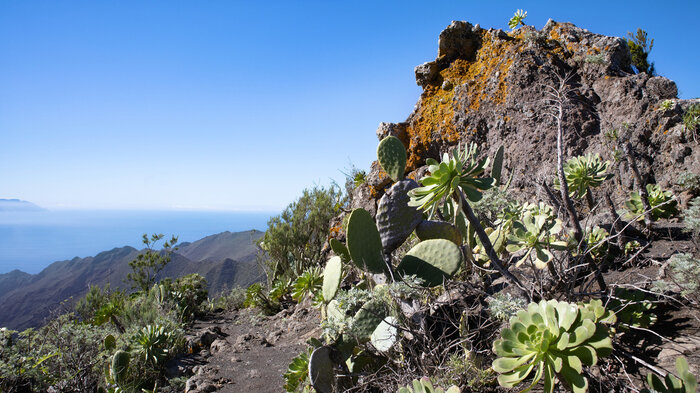 Felsformation mit bunten Flechten und herrlichem Ausblick an den Cumbres de Bolico | © Sunhikes Felsformation mit bunten Flechten und herrlichem Ausblick an den Cumbres de Bolico | © Sunhikes