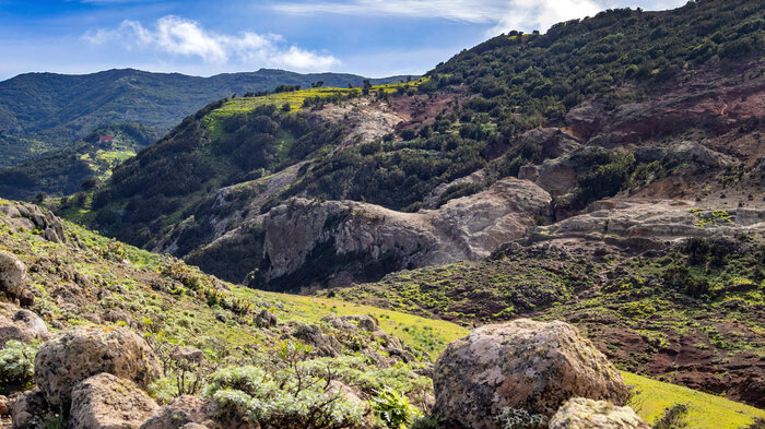 Blick über das Hochplateau von Teno Alto | © Sunhikes das Hochplateau von Teno Alto | © Sunhikes